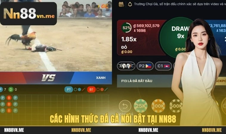Các hình thức đá gà nổi bật tại NN88