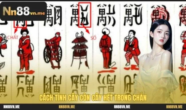 cách tính cây còn cây hết trong Chắn