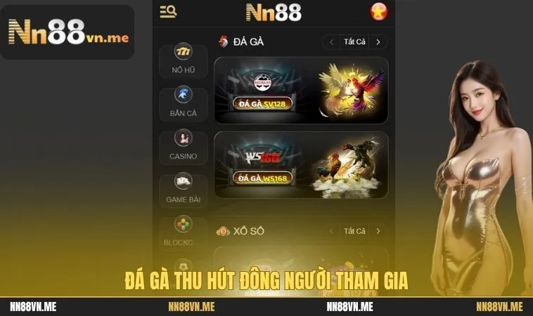 Giới Thiệu NN88 - Giải Mã Lý Do Khiến NN88 Hot Nhất Hiện Nay 2 Đá gà thu hút đông người tham gia