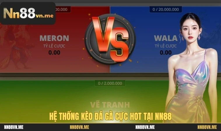 Hệ thống kèo đá gà cực hot tại NN88