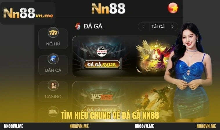 Tìm hiểu chung về đá gà NN88